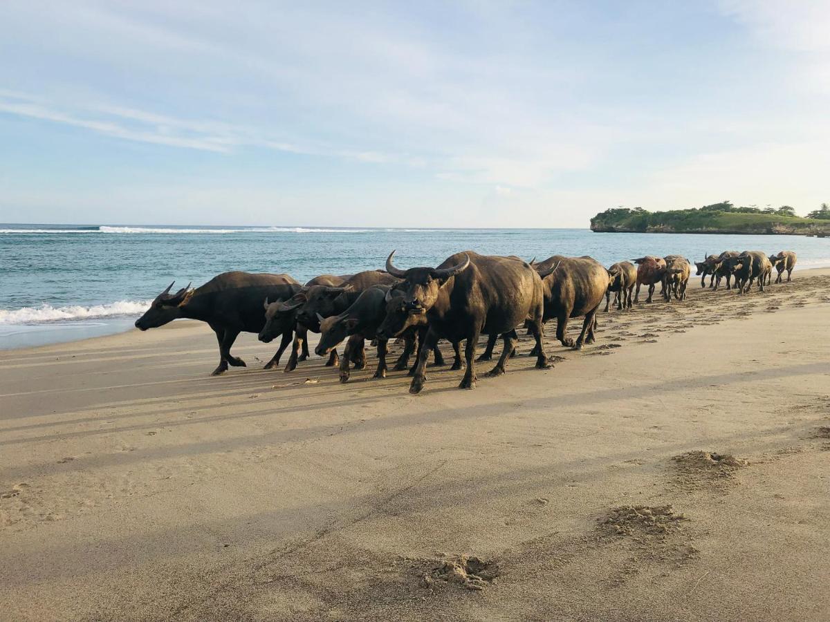 Sumba Beach House Уайкабубак Екстериор снимка